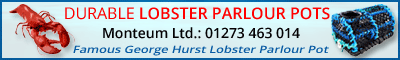 Sponsor advertisement